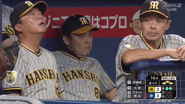 2024_0818_152615_941