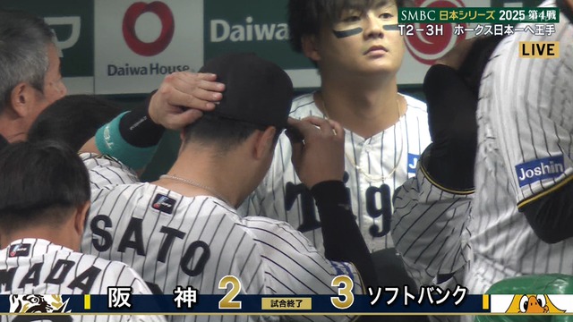 2025_1029_214730_908