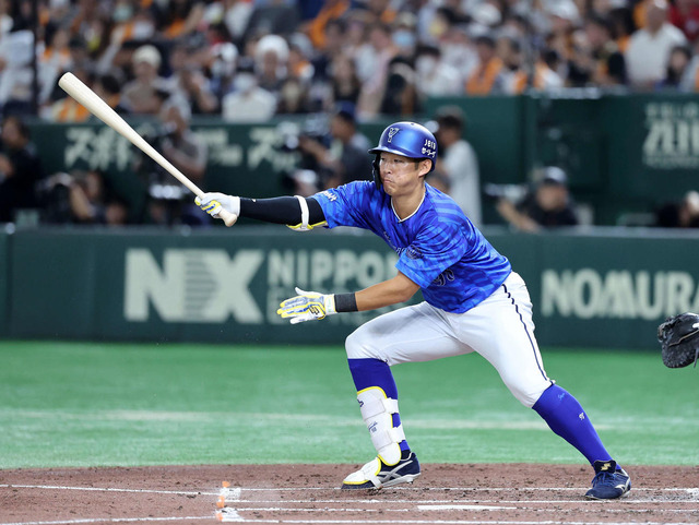 202411120000956-w1300_0