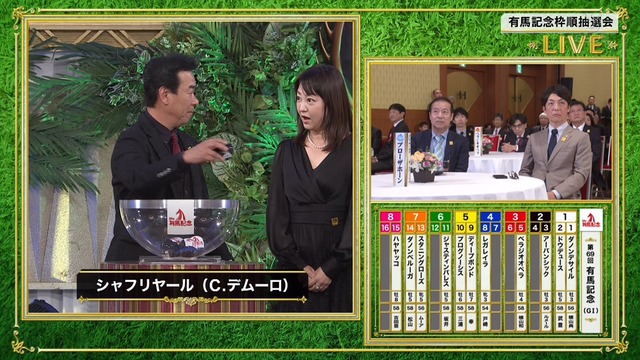 2024_1219_175755_534