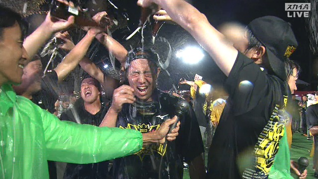 2023_1106_003222_966