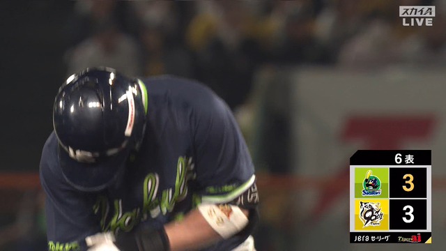 2025_0409_204221_621