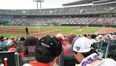 photo_field_main