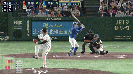 新規