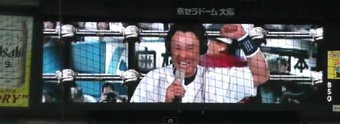 b5eff1a3.jpg