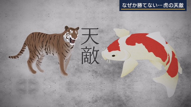 2022_0510_230540_077