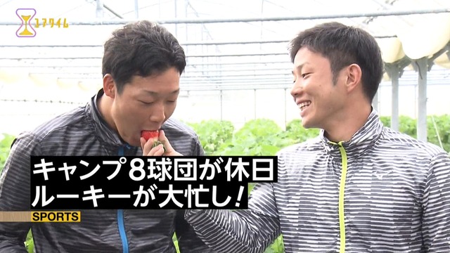 2017_0207_005324_914