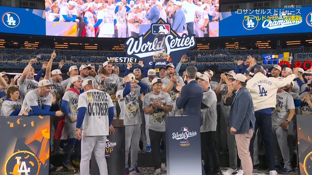 2025_1102_135301_637