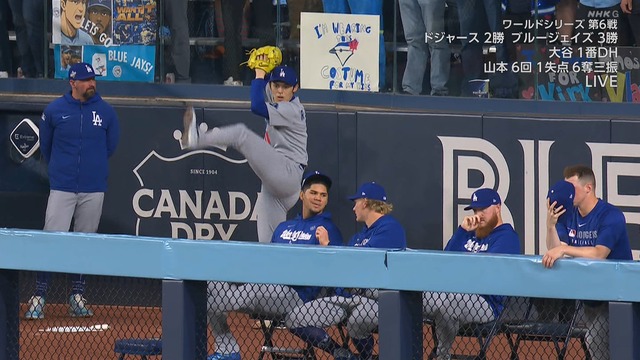 2025_1101_111704_866