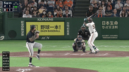 新規