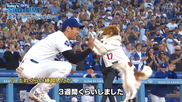 2024_0829_232554_949