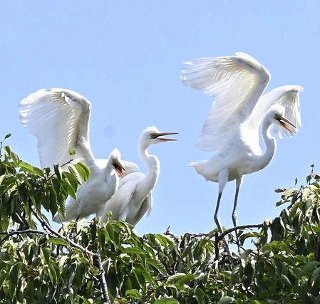 imgi_21_20250726-OYT1I50048-1