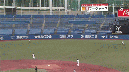 新規