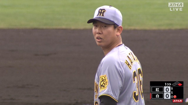 2025_0209_131936_799