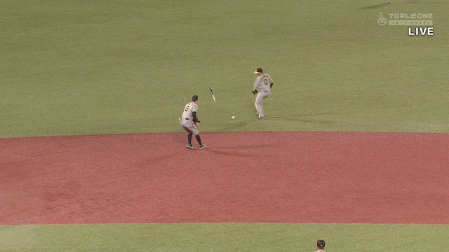 2024_0808_235447_340