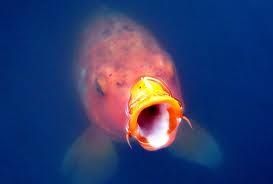 481551be510f3857564f9e0a64f828e5