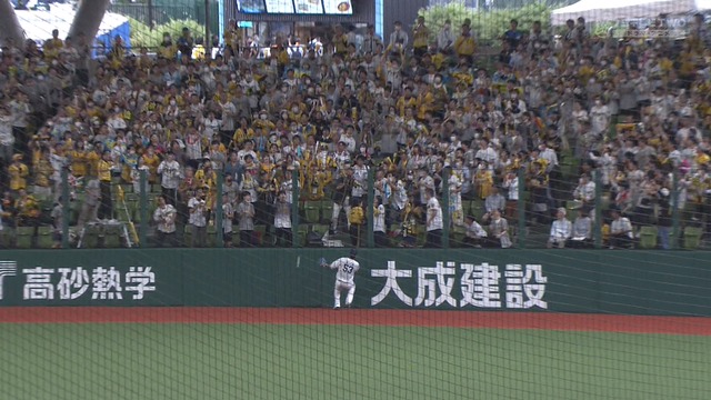 2023_0530_180537_929