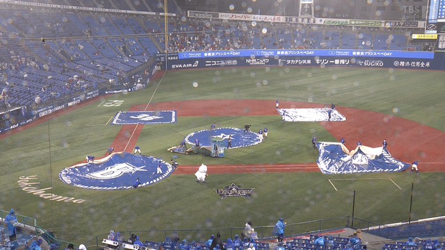 2024_0528_232730_845