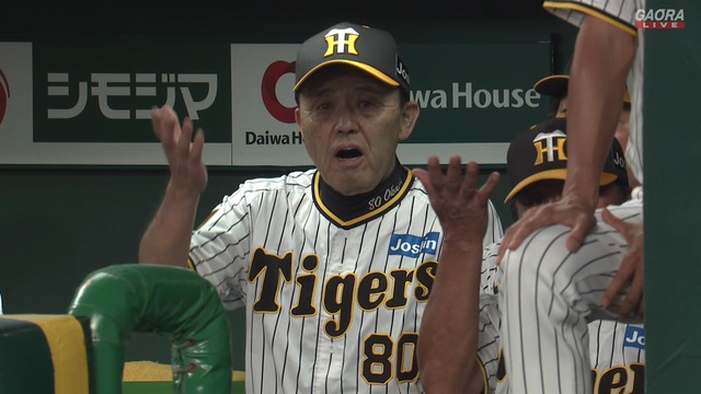 2024_0903_193114_278