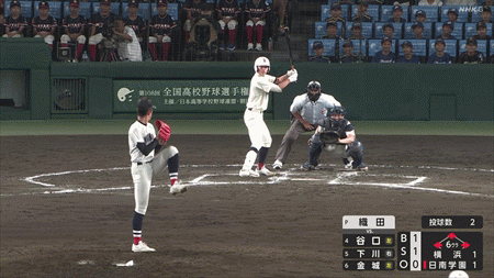 新規