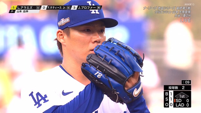 2024_1012_091453_904