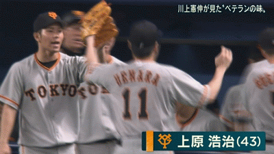 新規