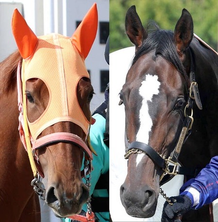 imgi_14_20260411-04111319-umatokuh-000-1-view