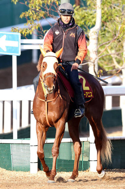 20251212-12121059-umatokuh-000-1-view