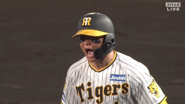 2024_0731_213823_819