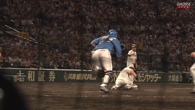 2024_0618_224625_973