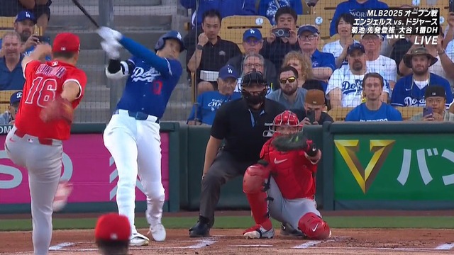 2025_0301_111530_687