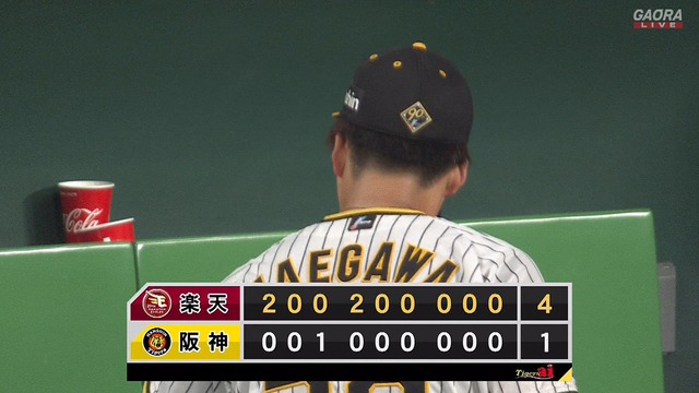 2024_0606_233813_198