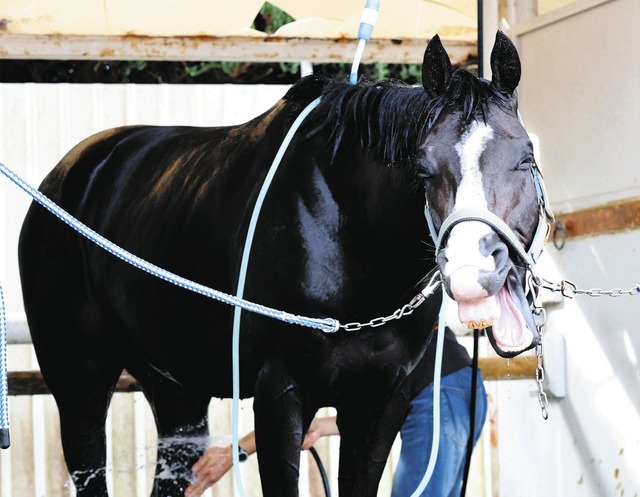 e24e46834893800078daeae131f749b3_1