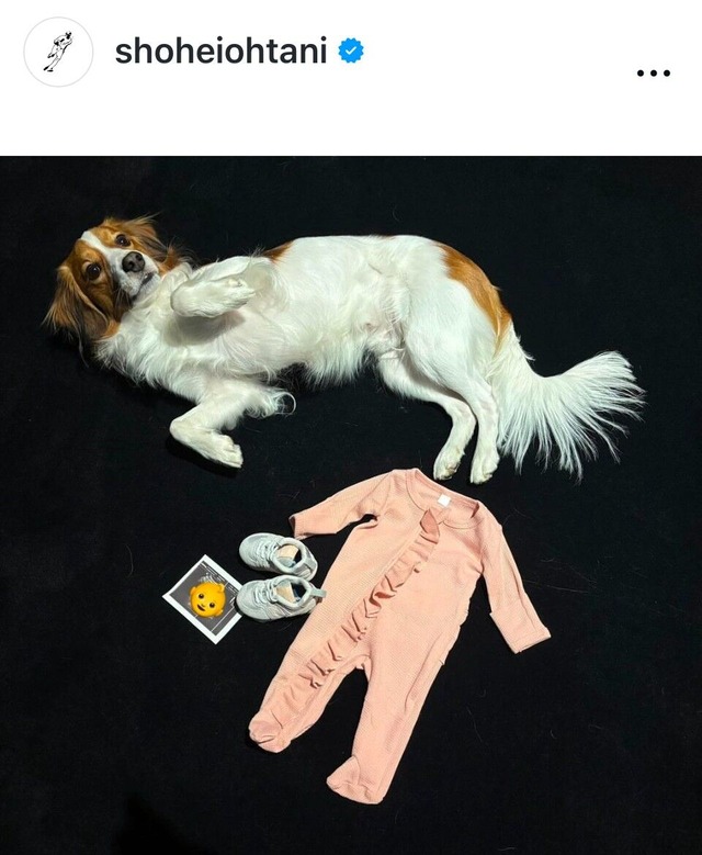 20241229-OHT1I51006-L