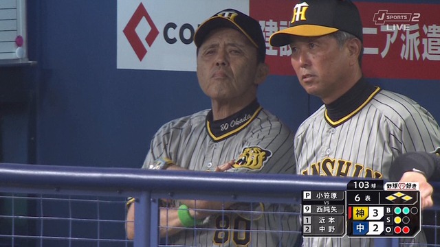 2023_0801_201711_617