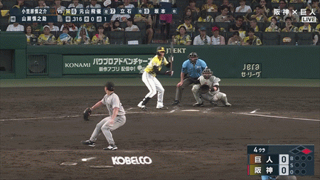 新規