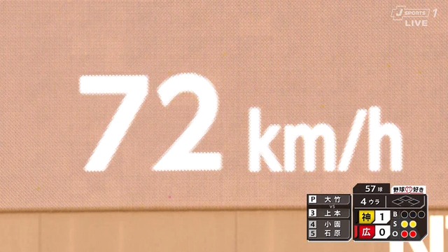 2024_0704_115244_291