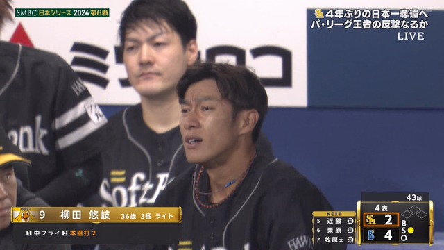 2024_1103_192413_141