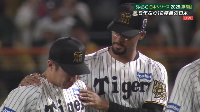 2025_1030_222729_626