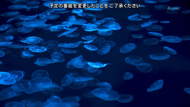 2024_0723_224857_244