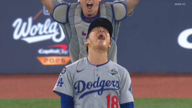 2025_1102_131743_350