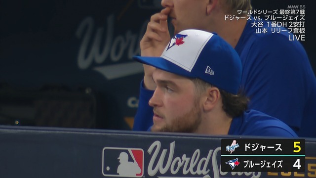 2025_1102_131108_759