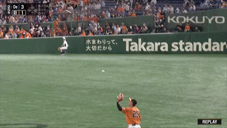 新規