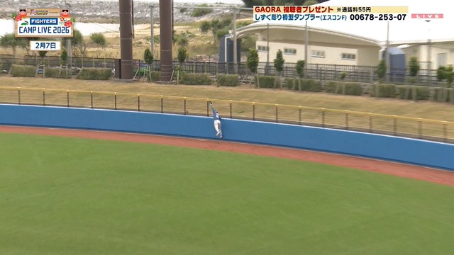 2026_0207_142201_951