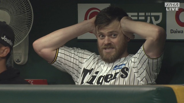 2025_0409_202238_586