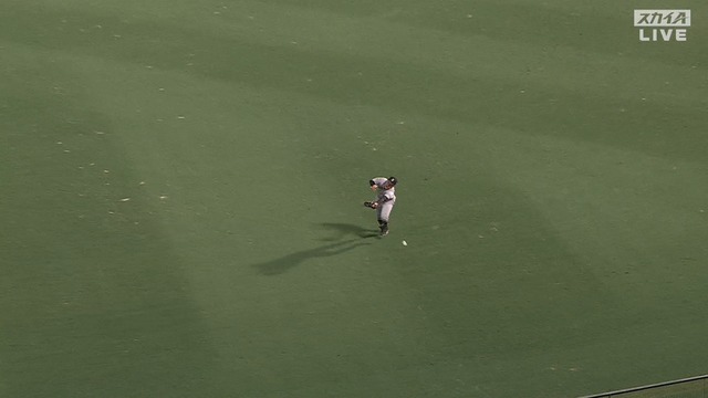 2024_0730_193905_817