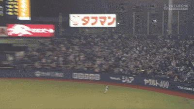 新規