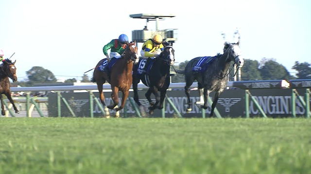 2025_1130_160838_866