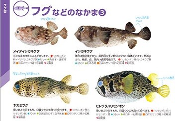 fish_book_02