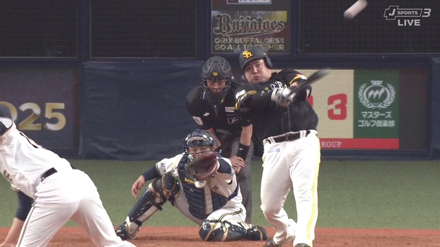 2025_0409_214102_543